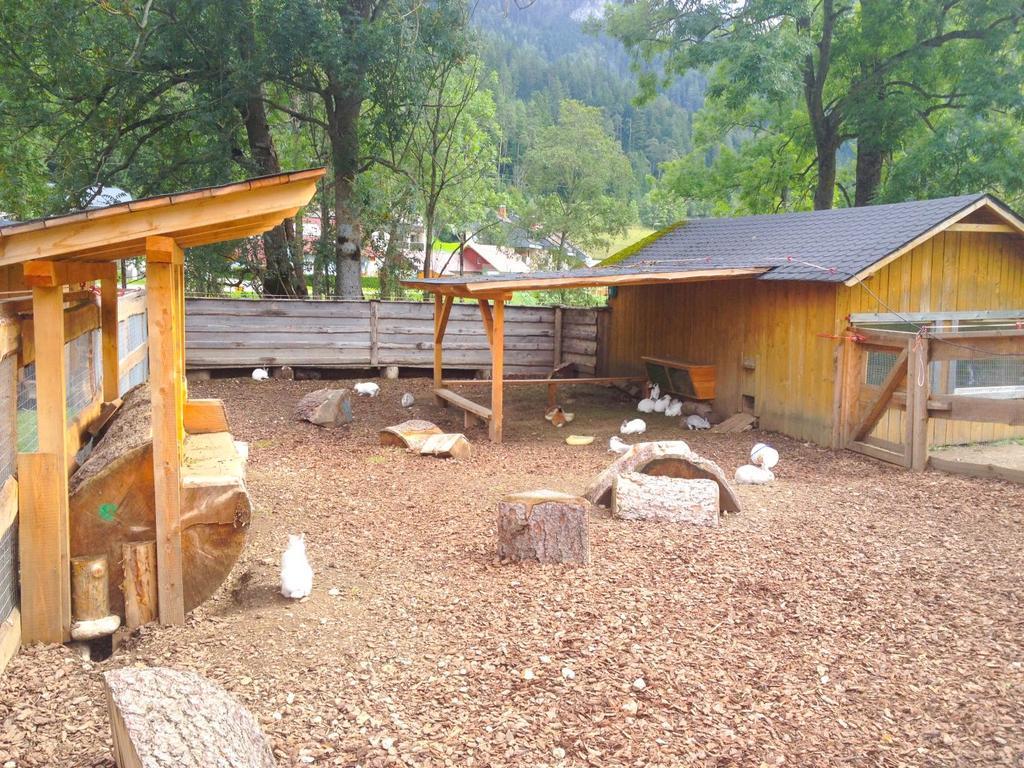 Kinderhotel Appelhof Mürzsteg Εξωτερικό φωτογραφία