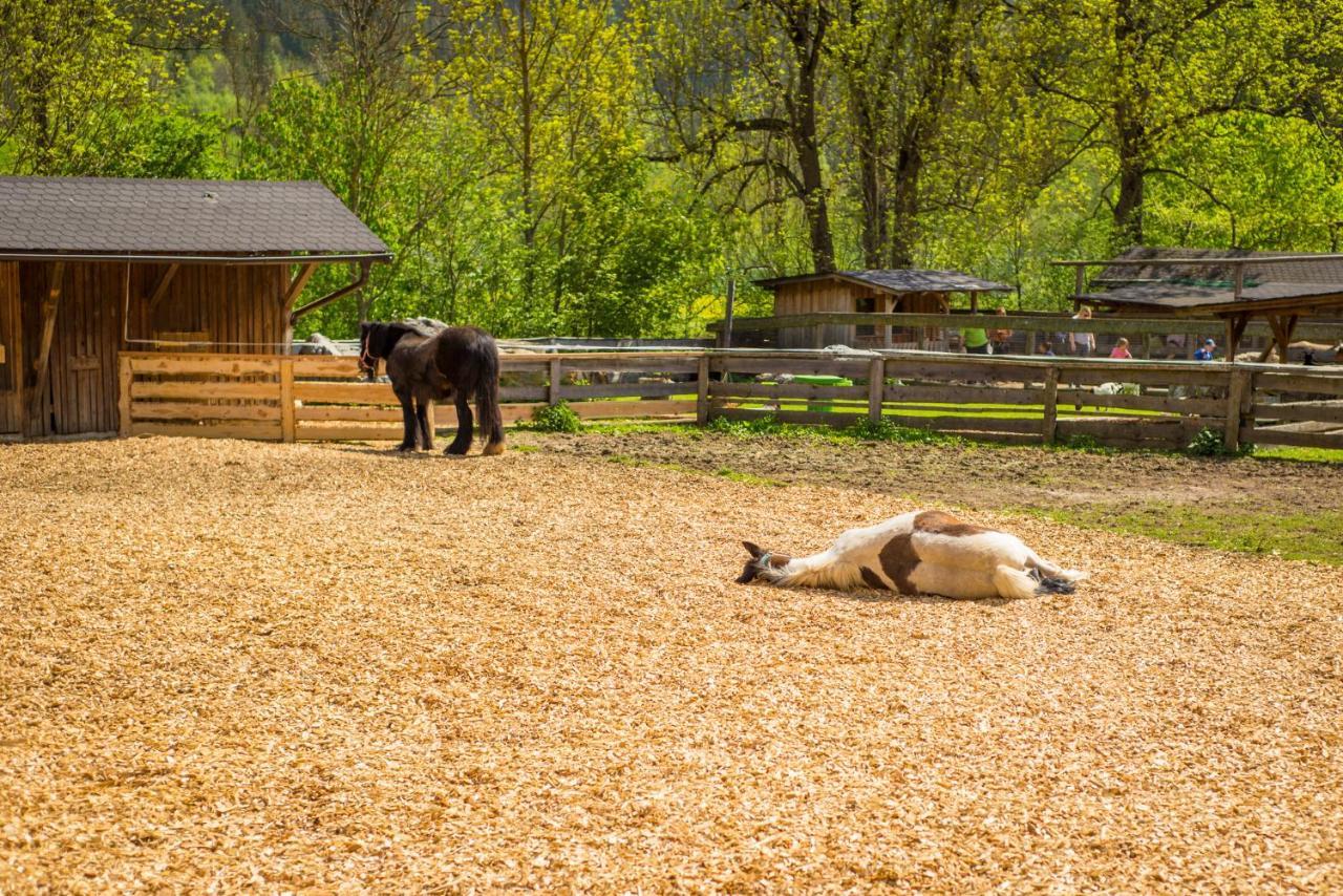 Kinderhotel Appelhof Mürzsteg Εξωτερικό φωτογραφία